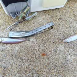 室津のキス釣り