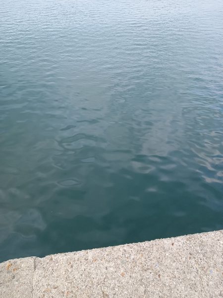 夕マズメサバサビキ