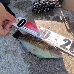 ちょい投げ淡路西側