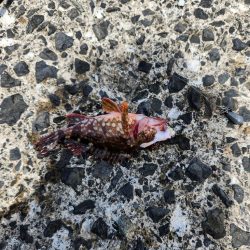 自己記録更新!!