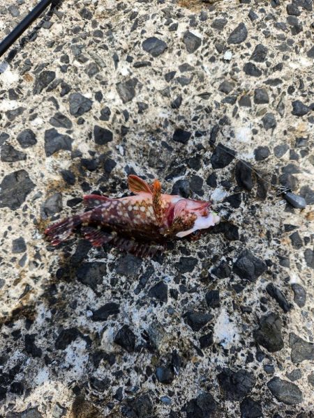 自己記録更新!!