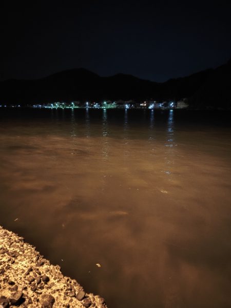 シーバス釣れないのでアジング