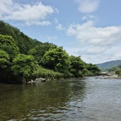 海から川へ走ります