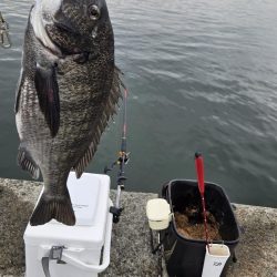 初ポイントにてふかせ釣り