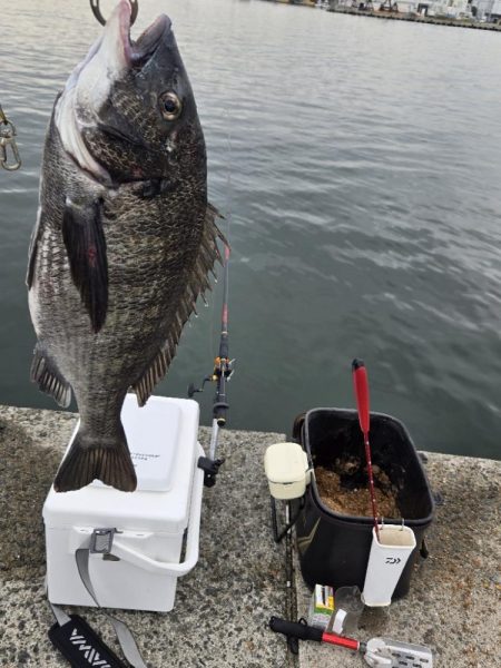 初ポイントにてふかせ釣り