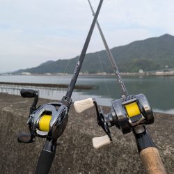 チニング対決企画「鯛MAN」初戦