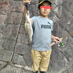 ヒラスズキ釣れました!