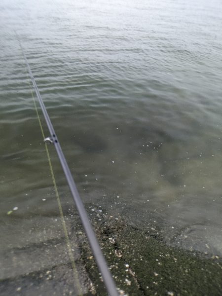 雨爆！広島チニング