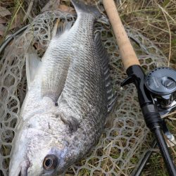 完全潮止まり大苦戦チニング