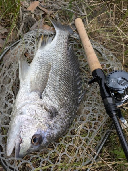 完全潮止まり大苦戦チニング