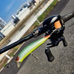 クロスウェイクチニング