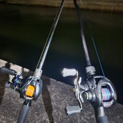 真夜中海チニング