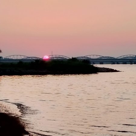 デキハゼ調査その2