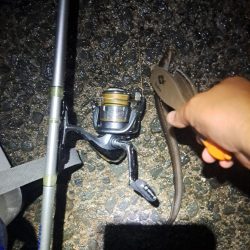 癖になる鈴の音