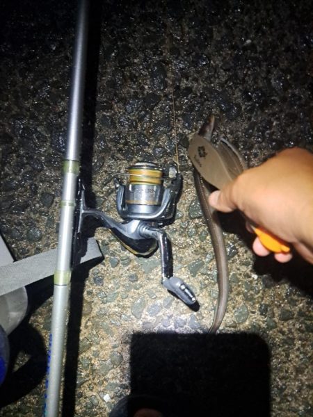 癖になる鈴の音