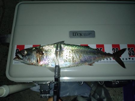 昨日のリベンジ釣行🎣