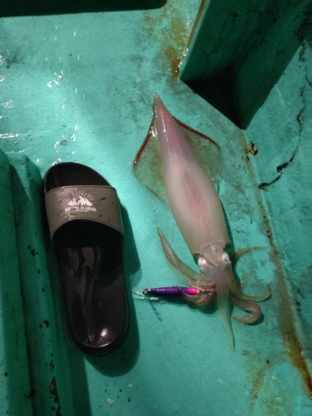 浜田沖でのイカメタル