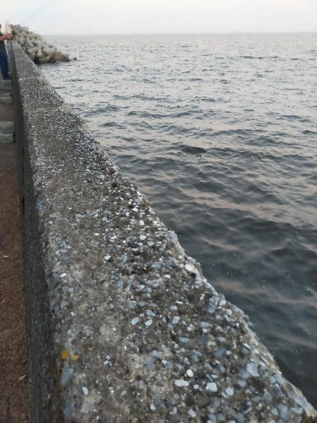 濁り潮の夕マヅメ