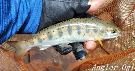 渇水、梅雨はどこへ？