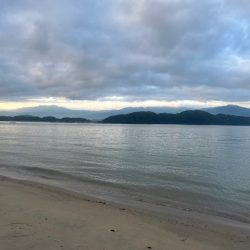 朝だけの短時間釣行でした