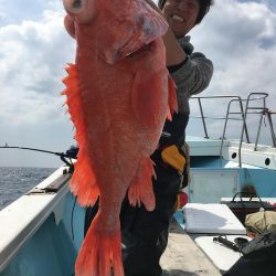 アブラボウズ アコウダイ ライトタックル 中深海 駿河湾 大宝丸