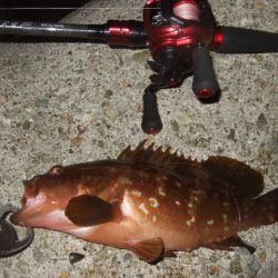 かなり減ったかな