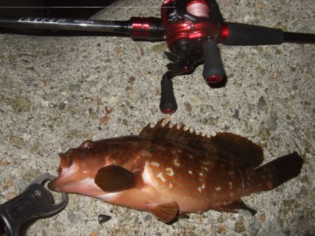 かなり減ったかな