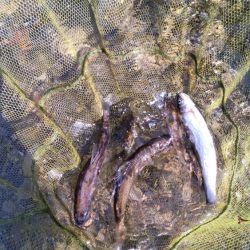 今シーズン初釣行！