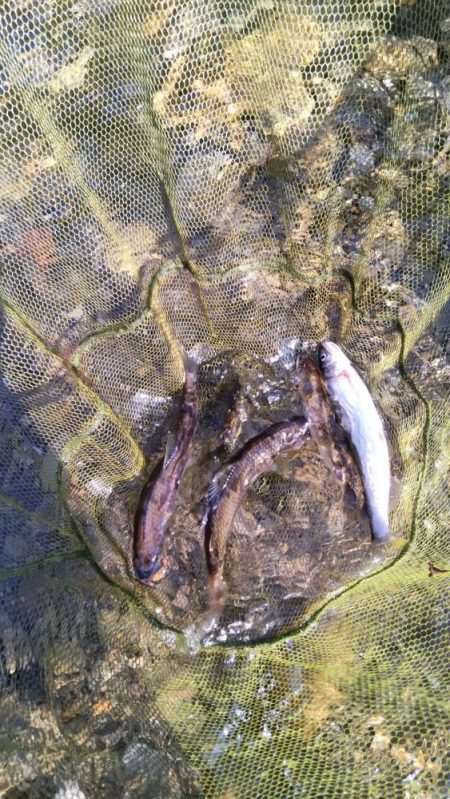 今シーズン初釣行！