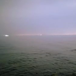 ハモやないかい