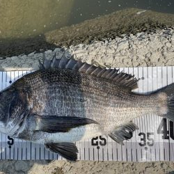 イチノ兄弟、釣果！