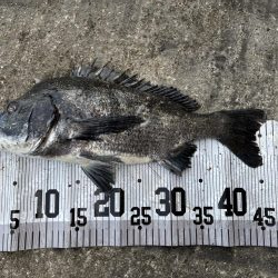 イチノ兄弟、釣果！