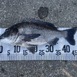 イチノ兄弟、釣果！