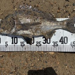 イチノ兄弟、釣果!