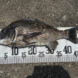 イチノ兄弟、釣果!