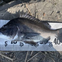 イチノ兄弟、釣果！