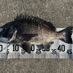 イチノ兄弟、釣果!