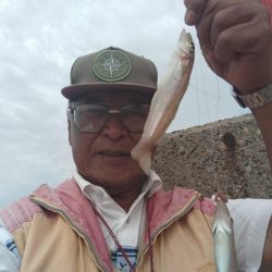 播磨新島のキス調査