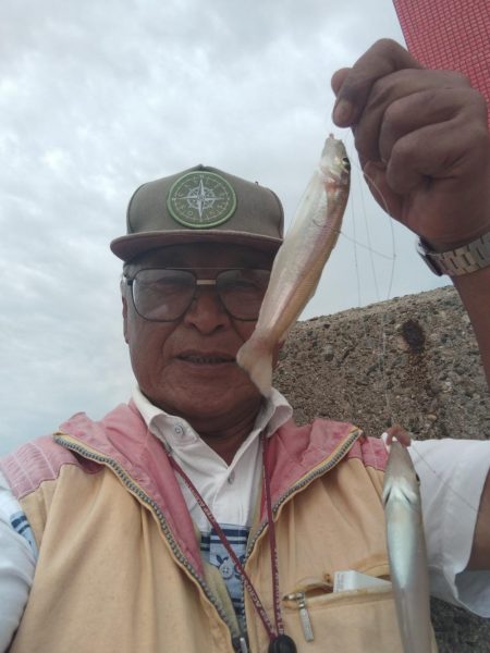 播磨新島のキス調査