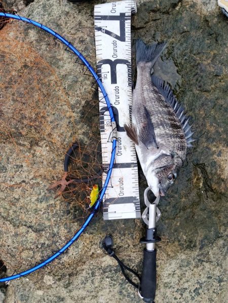 ようやく釣れた。