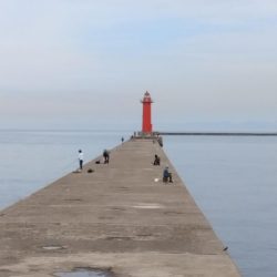 播磨新島のキス情報