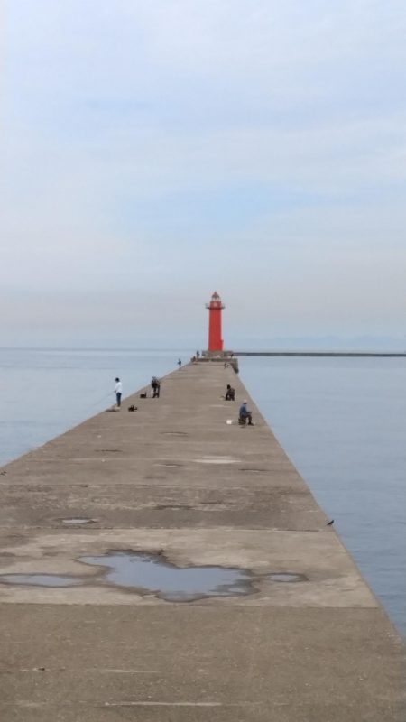 播磨新島のキス情報