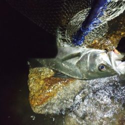 下げの｢分｣今まで逆。この日を境に。