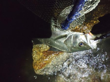 下げの｢分｣今まで逆。この日を境に。