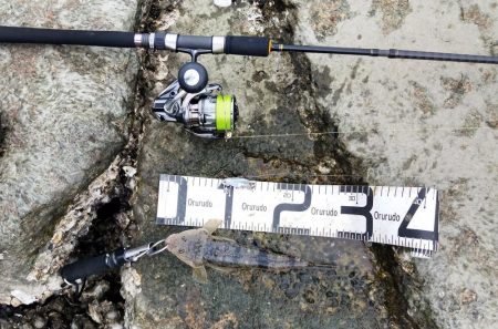 一瞬で終わった釣行、ビデオカメラもセットする間がない…しかもスレ