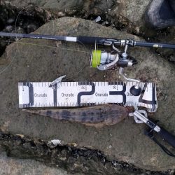 2週連続のフラット！嬉しい限り