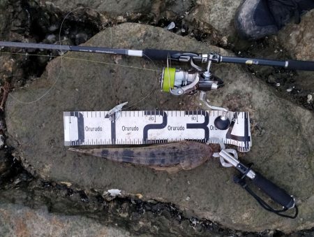 2週連続のフラット！嬉しい限り