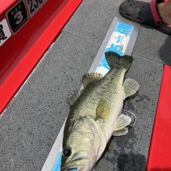 北山田50〜40cm3発