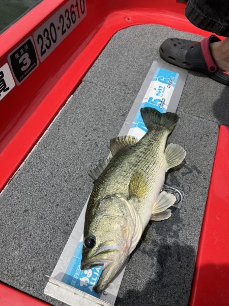 北山田50〜40cm3発