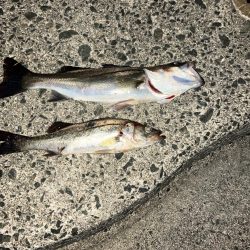 計画休暇初日や